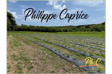 Terrain Le Vauclin (972)