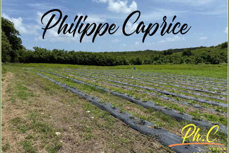 Terrain Le Vauclin (972)