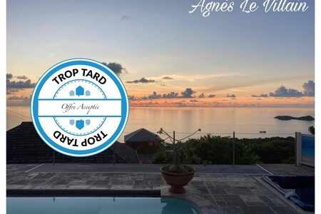 Villa de Prestige Vue Mer Piscine Spa Sauna