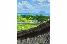 Splendide vue mer et montagne