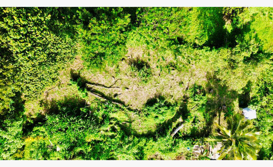 Terrain de 864 m2 à Sainte-Luce, environnement naturel et