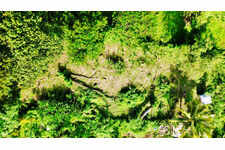 Terrain de 864 m2 à Sainte-Luce, environnement naturel et