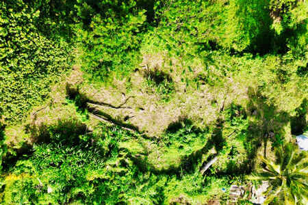 Terrain de 864 m2 à Sainte-Luce, environnement naturel et