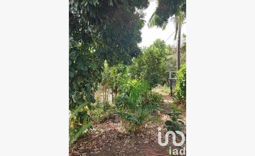 Terrain 400 m²