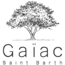 Gaïac Saint Barth