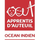 Logo de APPRENTIS D'AUTEUIL OCEAN INDIEN