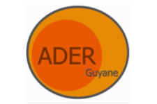 Responsable de secteur coordinateur (trice)