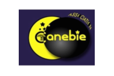 Auxiliaire de puériculture